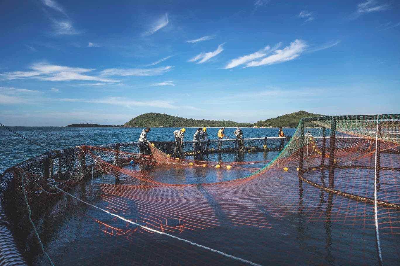 Global Fund for Coral Reefs and Oceanpick Partner to Transform Aquaculture and Support Coastal Communities in Sri Lanka