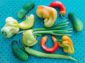 Too Ugly to Eat? Why Perfect Food Is Ruining Our Planet