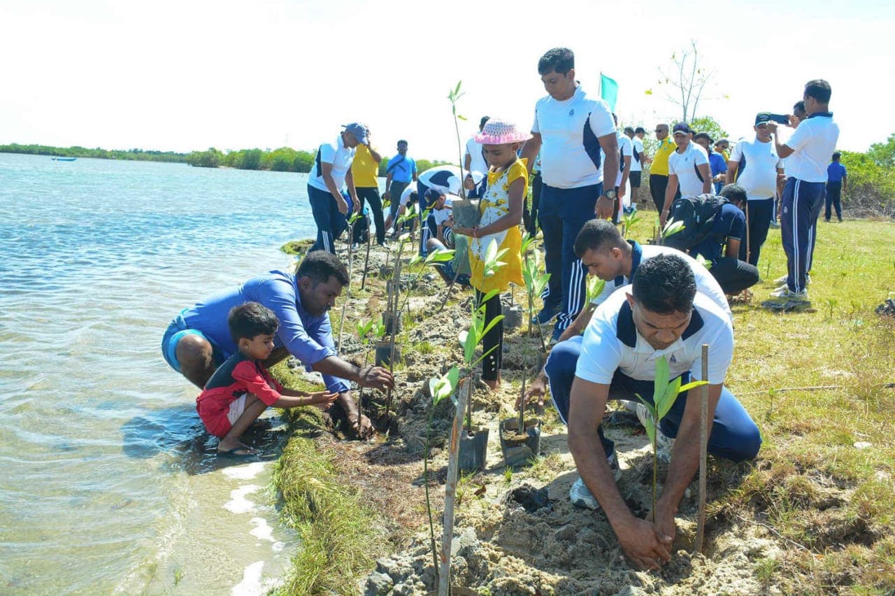 Tokyo Cement Marks World Environment Day with 100,000 Mangroves for a Greener Sri Lanka