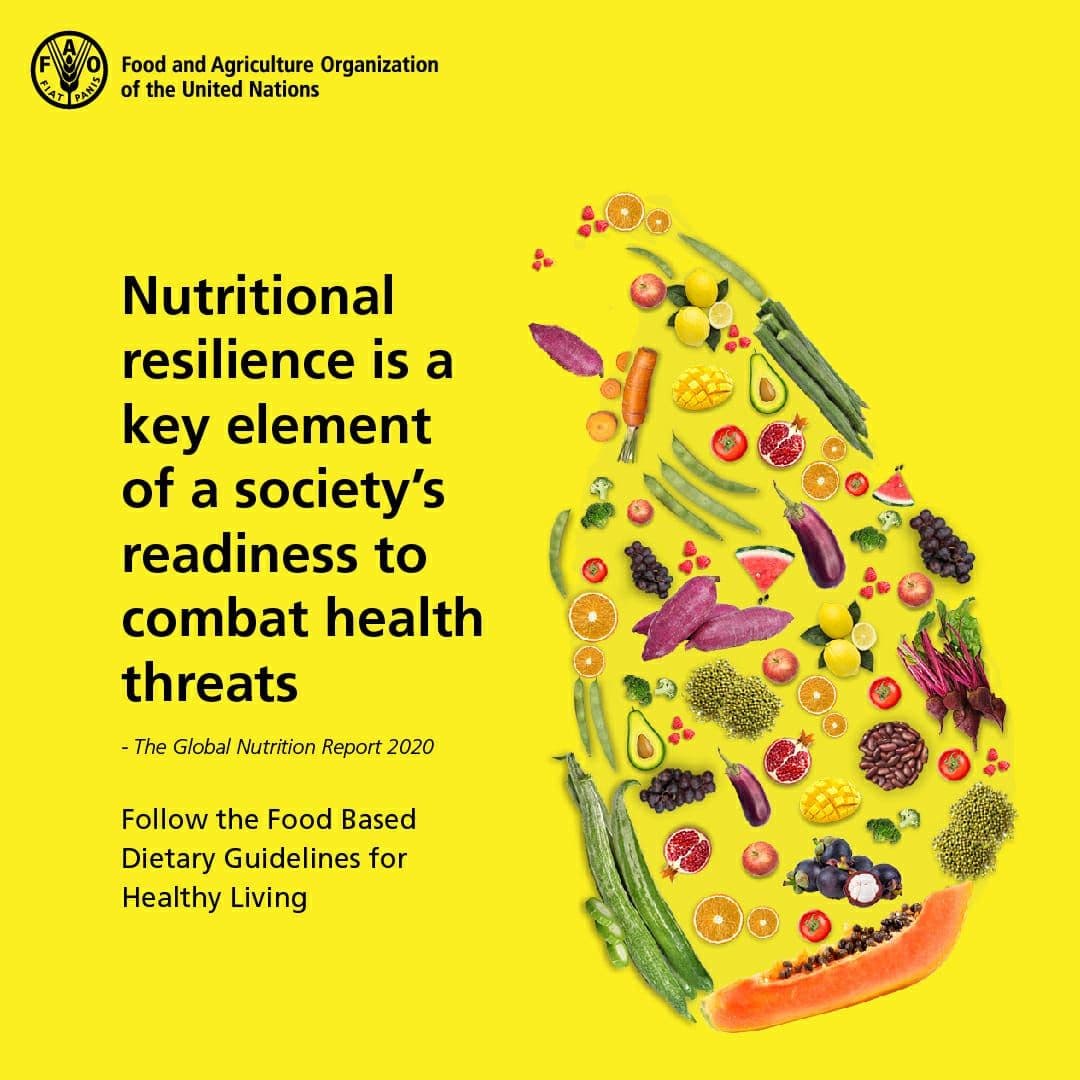 Formulating country-specific Food-Based Dietary Guidelines to impact better nutrition and health